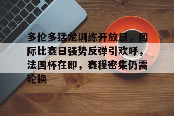 华体会官方入口- 多哈游泳世锦赛赛程表 